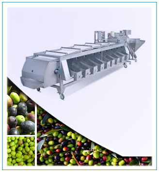 machine de tamisage d'olives